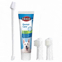 Set higiene dental para perros, pasta y cepillos dedos
