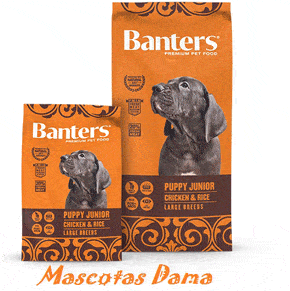 Banters puppy large breed
