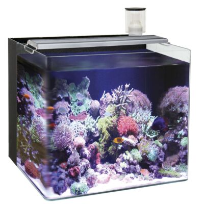 Nano acuario marino ocean free (96 l)