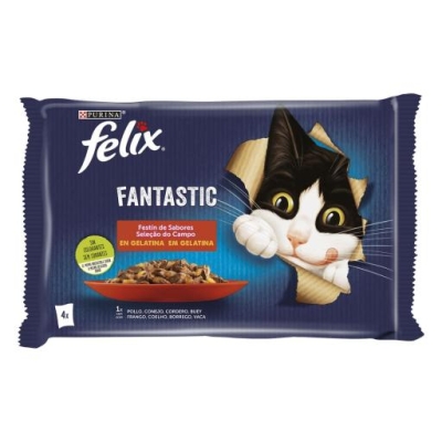 Felix Agail Gij  MV Ctrysd 4x85g