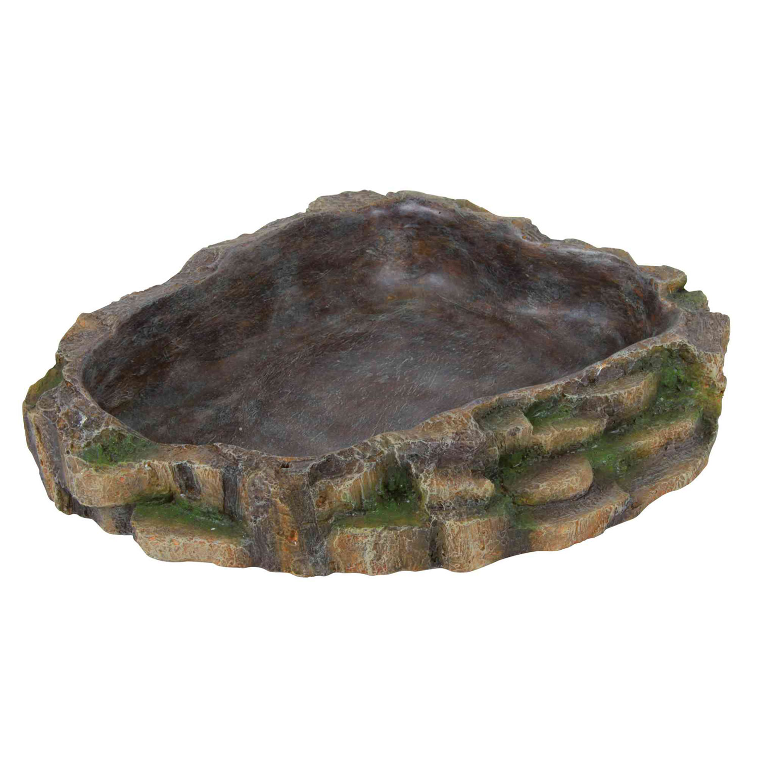 trixie cuenco reptiles agua y comida 10x2.5x7.5cm – cuenco natural doble para terrarios