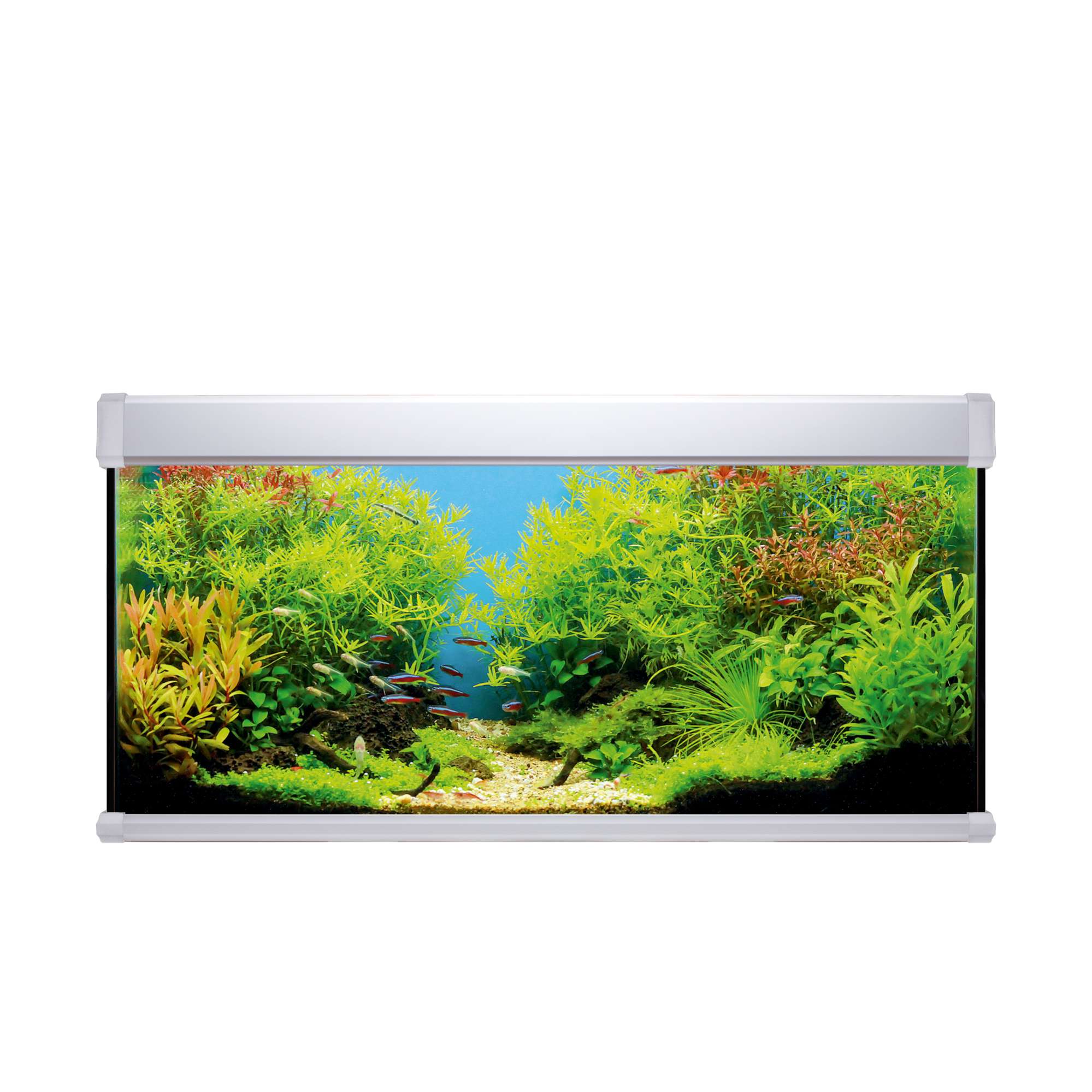 Acuario Ica 120 litros