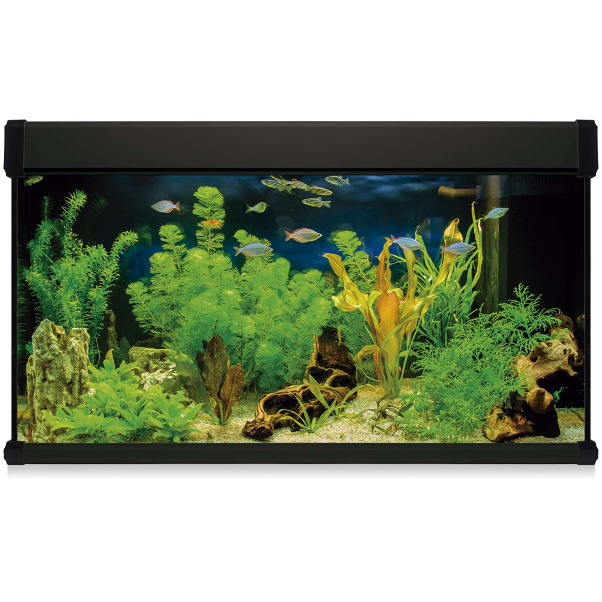 Acuario Ica 300 litros