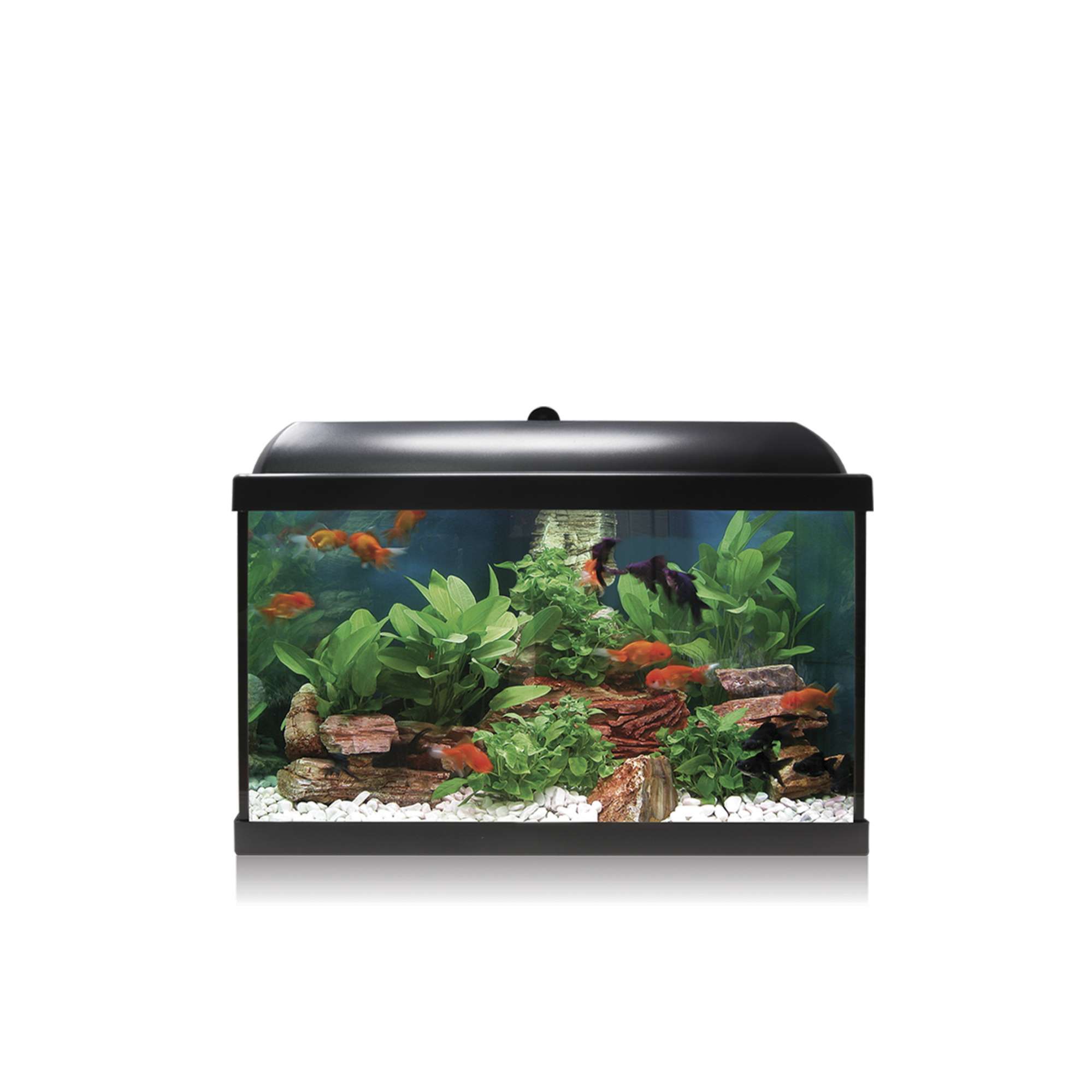 Acuario Ica 45 litros