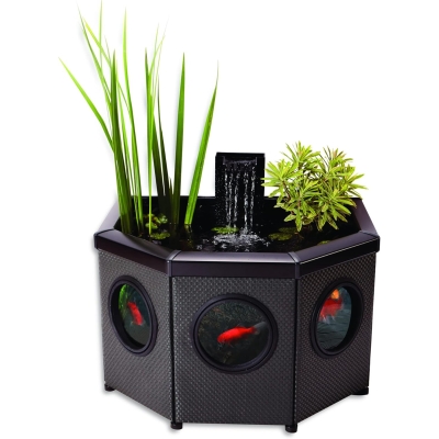 aquagarden raised window pond halfmoon estanque elevado con ventana LED