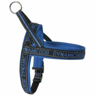 CAMON Arnés Neopreno Dynamic-Blue    -60