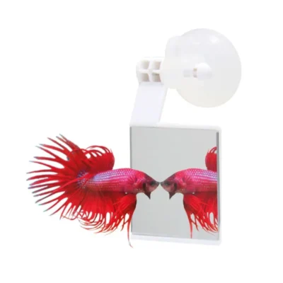 ICA Espejo para Bettas OF